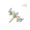 5 Marquise Crown