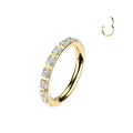 Studded Hinged Hoop