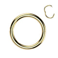 Thin Hinged Clicker Hoops