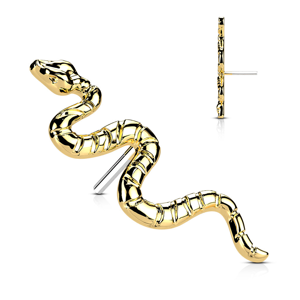 Snake